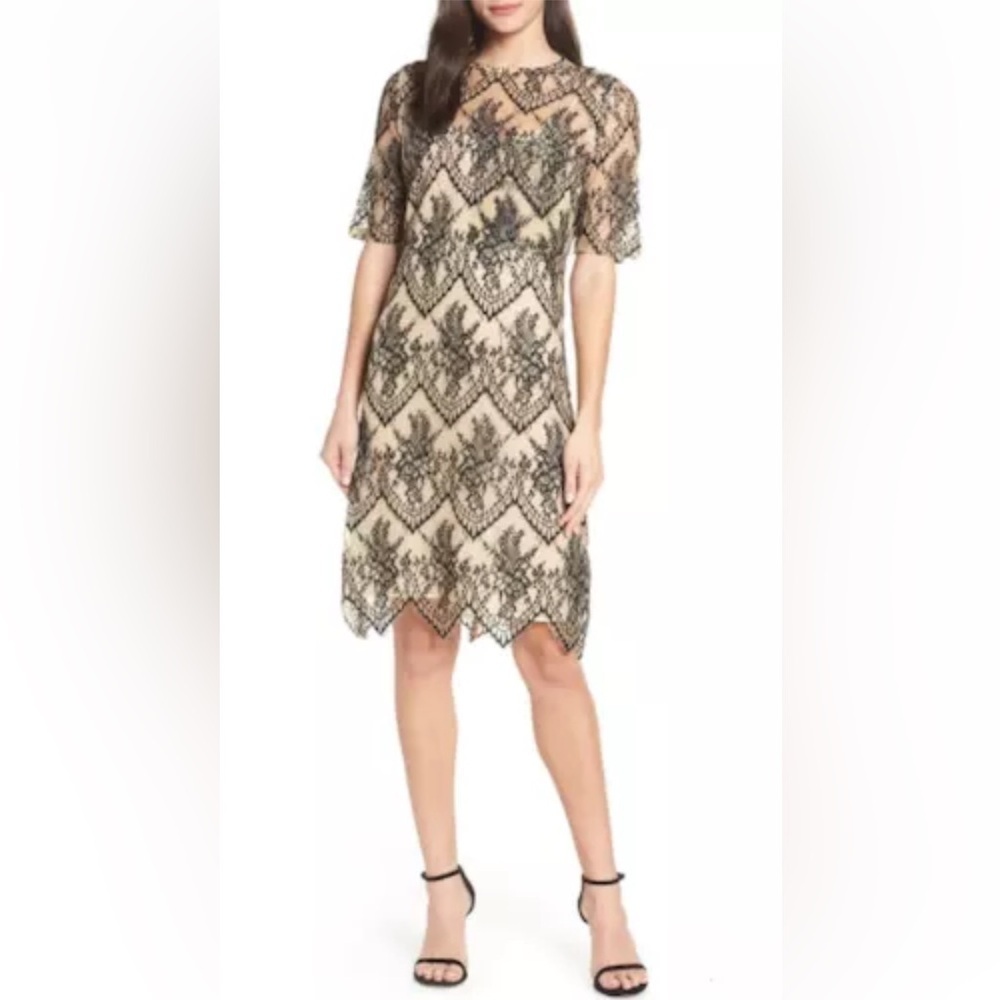 CAARA Nordstrom Scallopd Lace Shift Dress Black Beige Holiday Party Wedding Sz M - Picture 4 of 14